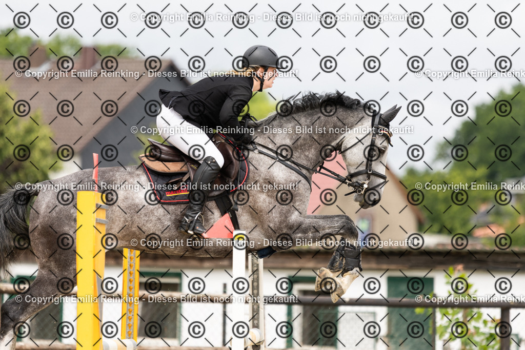 CL5A5079 | Emilia Reinking Fotografie - Realisiert mit Pictrs.com