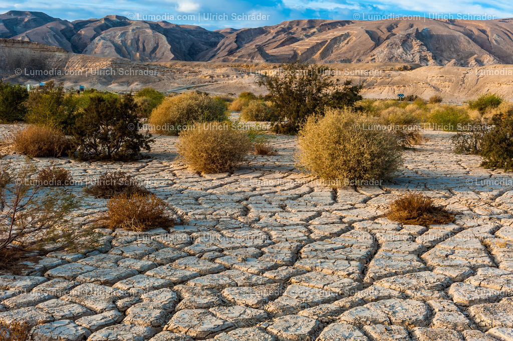 10972-10381 - Negev-Wüste _ Israel | max. Bildgröße A3 | 300dpi - Realisiert mit Pictrs.com