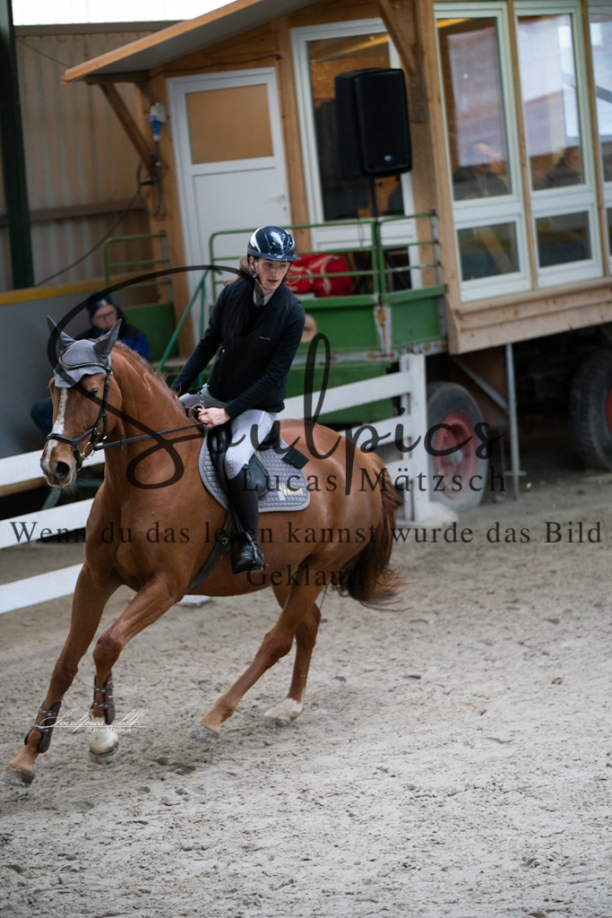 A7V01056 | Pferdefotograf