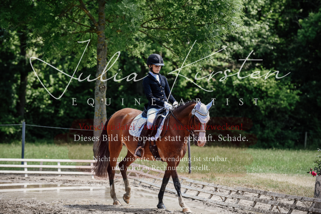 DSC_1931 | Pferde- und Turnierfotografie in Westsachsen. Pferdeportraits, Auftragszeichnungen und intuitive Kunst.