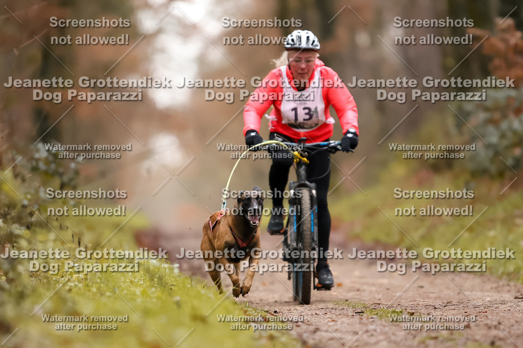 Dog Paparazzi - Speedhunter Mannheim  2025-37 | Dog Paparazzi Jeanette Grottendiek Fotografie & Videografie