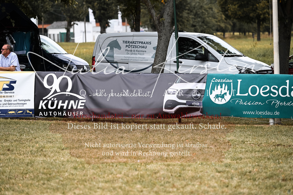 DSC_9311 | Pferde- und Turnierfotografie in Westsachsen. Pferdeportraits, Auftragszeichnungen und intuitive Kunst.