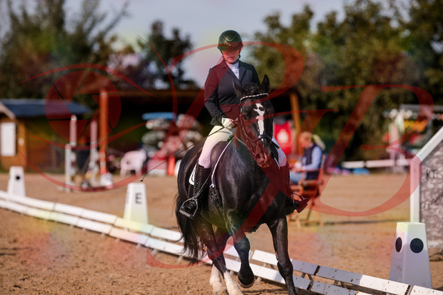 2026_10_03_Siefer-Hof_121021_Z81_12503391 | Professionelle Reitsport-, Turnier- und Eventfotografie von Robert Broda. Galerien mit ausgewählten und bearbeiteten Bildern direkt online ansehen und bestellen.