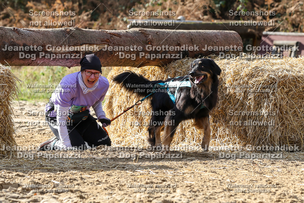 Dog Paparazzi - Strongdog 10-25-5828 | Dog Paparazzi Jeanette Grottendiek Fotografie & Videografie - Realisiert mit Pictrs.com
