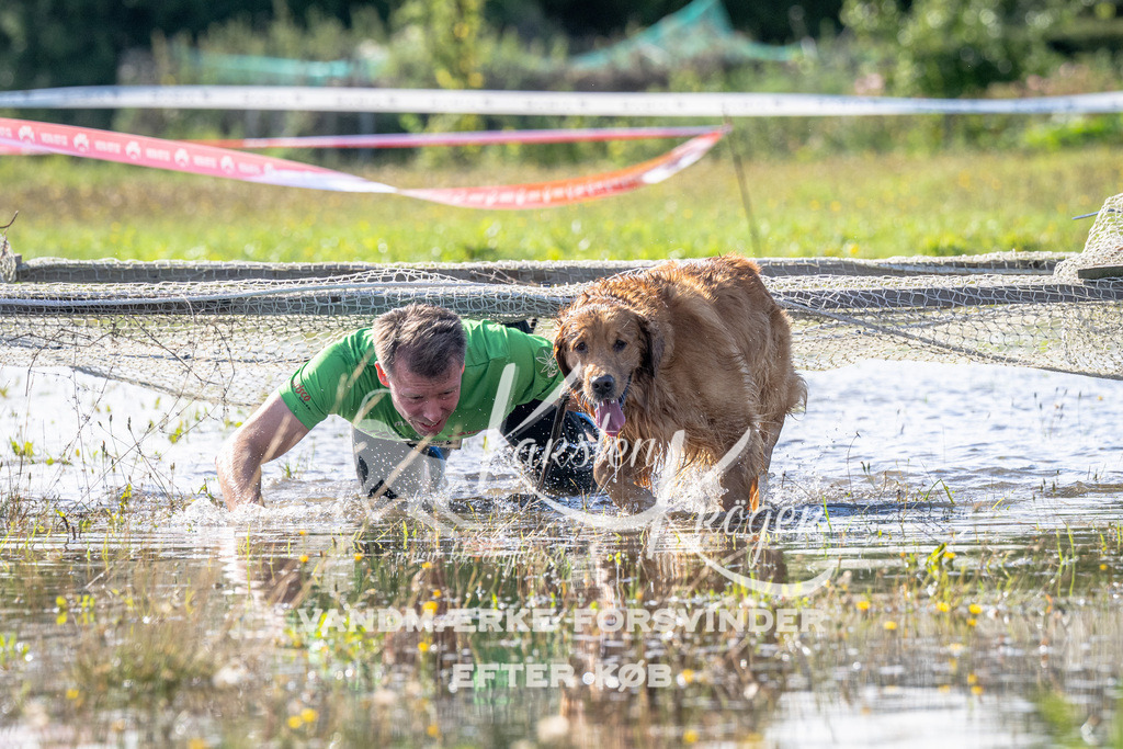 1034_ZZ90813 | kk-dogfotos