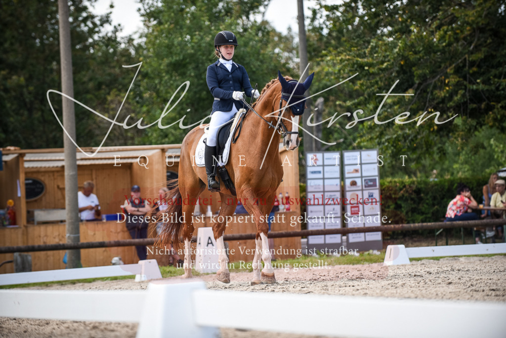 DSC_9363 | Pferde- und Turnierfotografie in Westsachsen. Pferdeportraits, Auftragszeichnungen und intuitive Kunst.