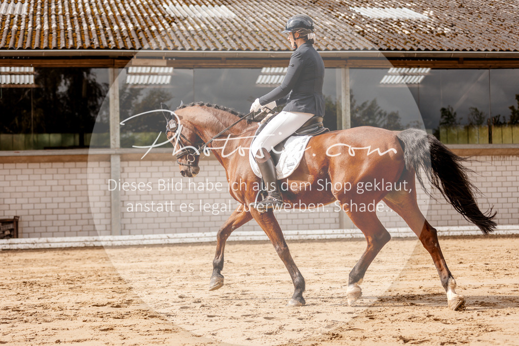 3I6A7010 | Stimmungsvolle Portraits und Reitsportfotografie im Ruhrgebiet und im Münsterland.

Pferdefotografie, Hundefotografie, Tierfotografie, Reportagen, Portraits von Tier und Mensch, Turnierfotografie in Bochum, Recklinghausen, Marl, Haltern am See, Dülmen.. - Realisiert mit Pictrs.com