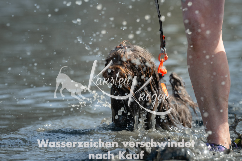 1257_ZZ93145 | kk-dogfotos