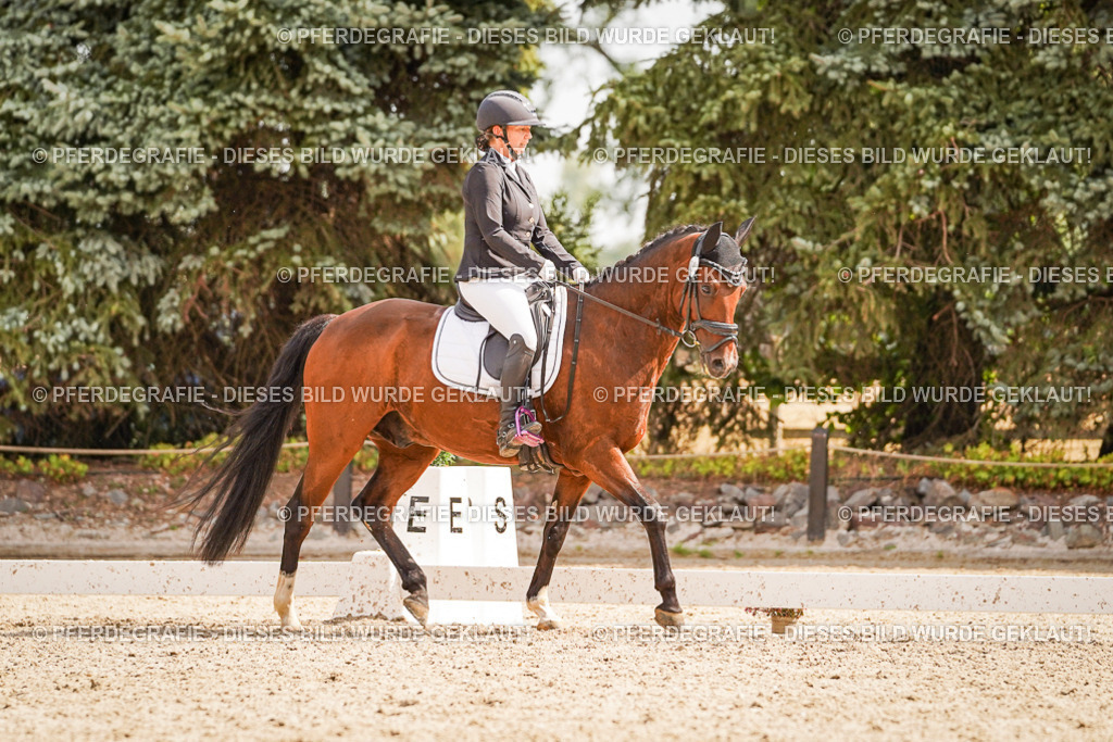 DSC01425 | Pferdegrafie