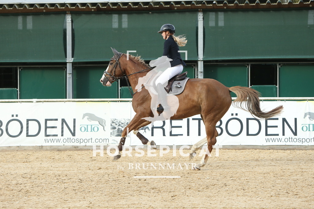 DL2Q7323 | Willkommen bei Brunnmayr - Design & Fotografie – Ihrem Spezialisten für Reitturniere und Pferdeveranstaltungen in Oberösterreich, Salzburg und Bayern! Seit über 17 Jahren sind wir leidenschaftlich dabei.