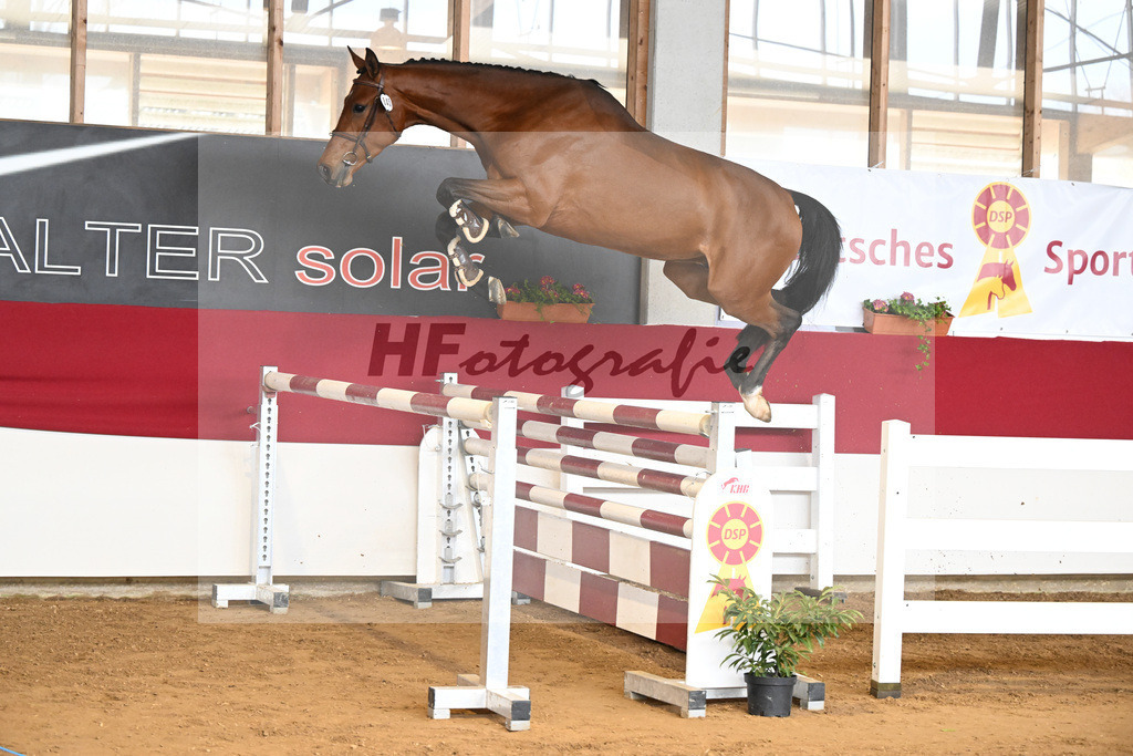 Kat-Nr. 45 Chincher ZSZ v. Chinchero_Hieber_7251074 | hf-fotografie - Realizzato con Pictrs.com