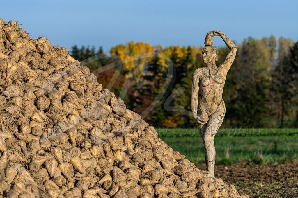 AgrarArt-RÜBENMIETE_0152b | #006 | Modell: Darky | Foto: Carsten Dauer - Realisiert mit Pictrs.com