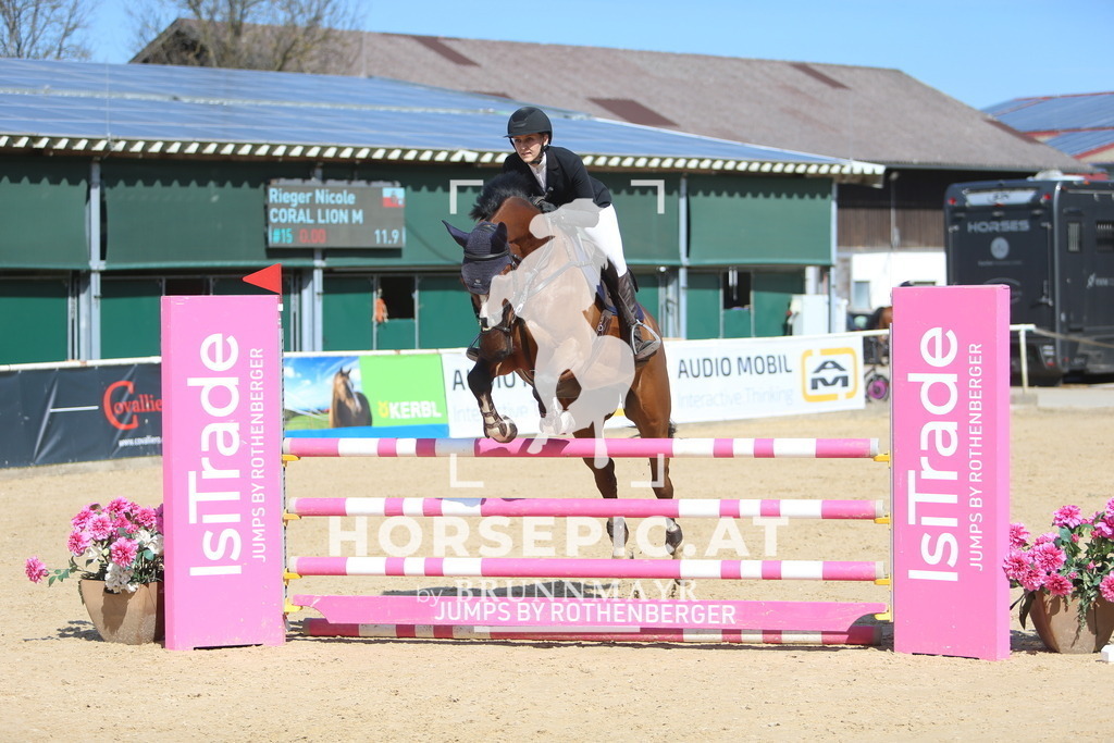 DL2Q0535 | Willkommen bei Brunnmayr - Design & Fotografie – Ihrem Spezialisten für Reitturniere und Pferdeveranstaltungen in Oberösterreich, Salzburg und Bayern! Seit über 17 Jahren sind wir leidenschaftlich dabei.