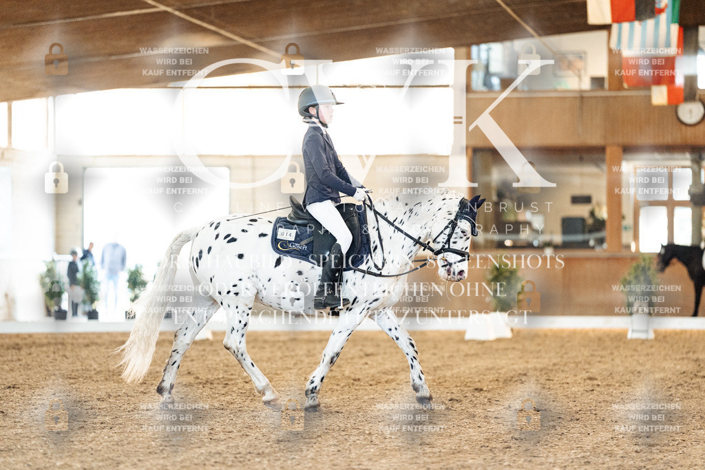 CK906838 | Turnierfotografie Pferdefotografie Trier Rheinland-Pfalz Pferdesport Reitsport Tierfotografie Sportfotografie Pferdevideo Pferdevideografie Equestrianvideography equestrianphotography  - Realisiert mit Pictrs.com