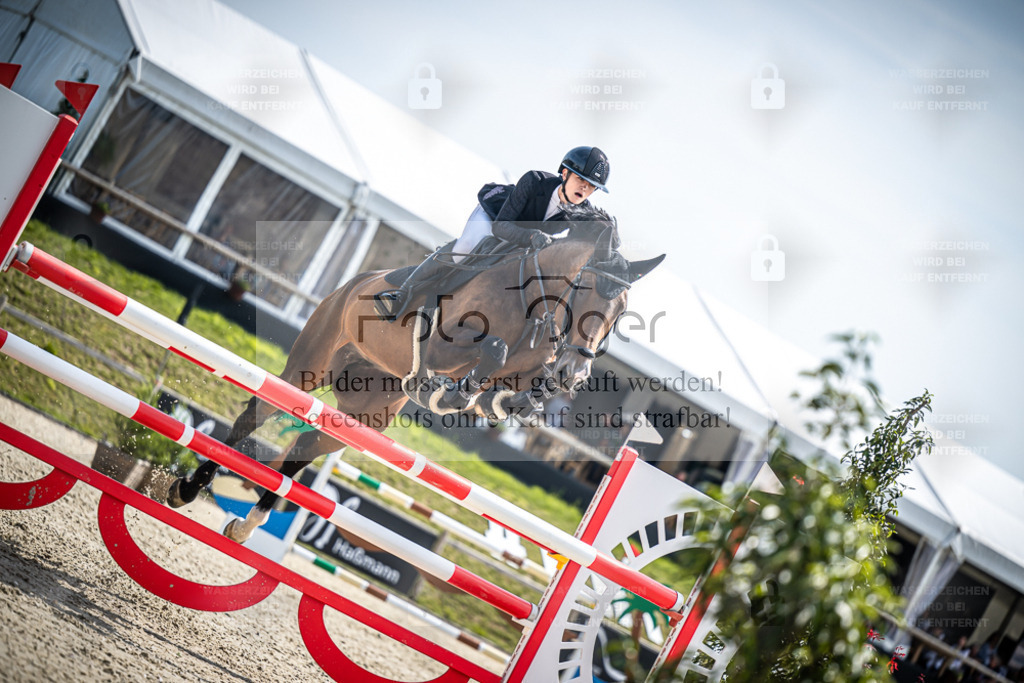 DOS_7746 | Entdecke hochwertige Reitturnierfotos von Foto Oger. Professionell, emotional und authentisch – jetzt Lieblingsmomente im Shop bestellen. - Realisiert mit Pictrs.com