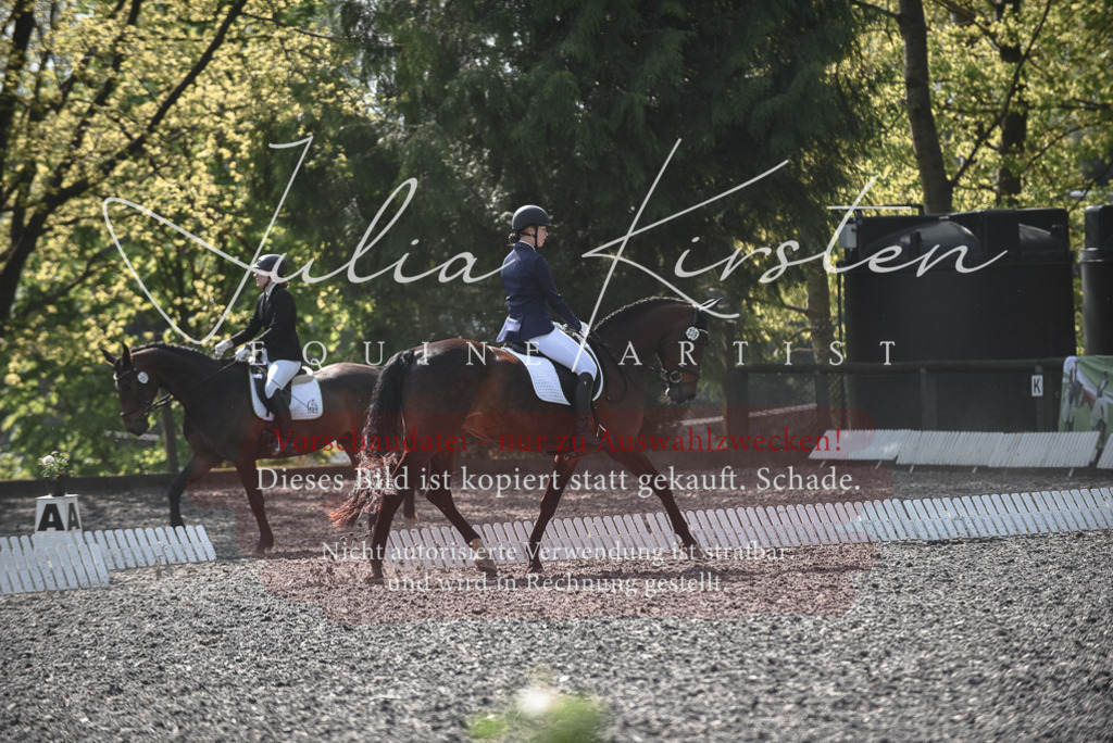 20230513_JK-Röhrsdorf-14-267 | Pferde- und Turnierfotografie in Westsachsen. Pferdeportraits, Auftragszeichnungen und intuitive Kunst.