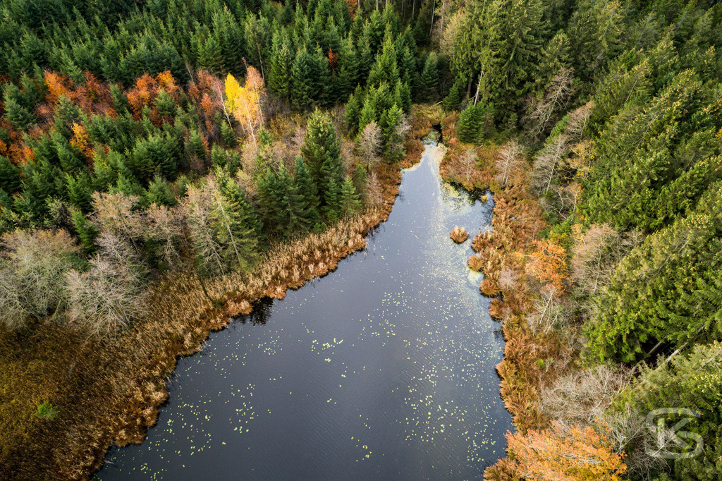 Allgäu-See-Landschaft aus der Luft mit dichtem Nadelwald im Herbst | Atemberaubende Allgäu-See-Landschaft aus der Luft mit farbenprächtigem Nadelwald im Herbst – idyllische Natur, klare Gewässer und leuchtende Herbstfarben für beeindruckende Drohnenaufnahme - Realisiert mit Pictrs.com