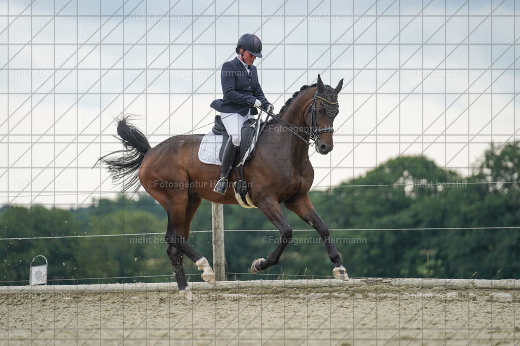 20230826-FAH06260 | Forstinning, 2023, Dressurturnier, Turniersportbilder, Turnierfotografen Bayern, Fotoagentur Herrmann, Reitsportfotografie, Turnierbilder