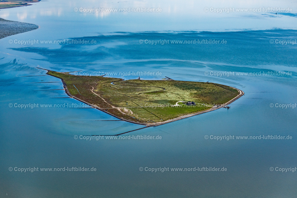 Hallig_Südfall_ELS_8048130822 | HALLIG SüDFALL 13.08.2022 Insel in Hallig Südfall im Nationalpark Schleswig-Holsteinisches Wattenmeer im Bundesland Schleswig-Holstein, Deutschland. // Island in Hallig Suedfall in the state Schleswig-Holstein, Germany. Foto: Martin Elsen