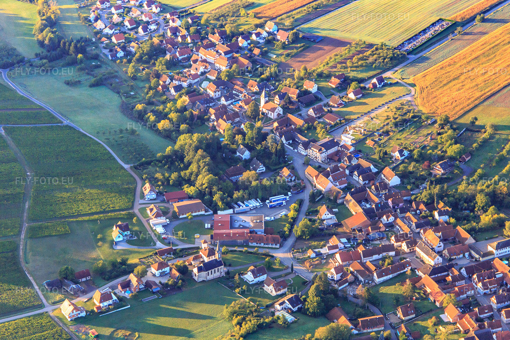 Vue aérienne: Rue du Moulin avec Transports Jacky et Fils SAS à Cleebourg dans le département Bas Rhin, France – .Photo: IMG_138829.jpg prise le 24/09/2023 par Werner Riehm/FLY-FOTO.eu – Résolution de l'original: 5336 x 3557 px – Votre entreprise de transport en France et à l'étranger - Transport Jacky