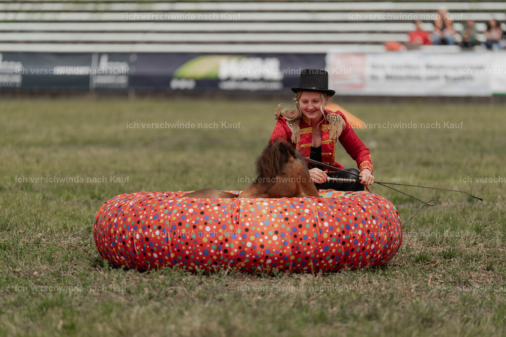 Showprogramm-229 | working equitationturnier fotograf videograf stoibphotography marixx film working equitation deutschland reitsport turnierfotografie eventfotografie equestrian events