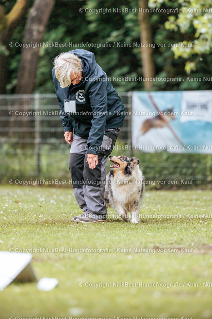 RO-Blumenthal-2026-Nickbest-Hundefotografie-2922 | Dein Hund! Dein Moment! Deine Erinnerungen! Hundefotografie in Bremen Blumenthal. Ich fange die besonderen Momente deines Vierbeiners ein – ob Indoor mit Blitzanlage oder in der freien Natur. Sicher dir dein Moment und dein Termin für eure Erinnerungen.