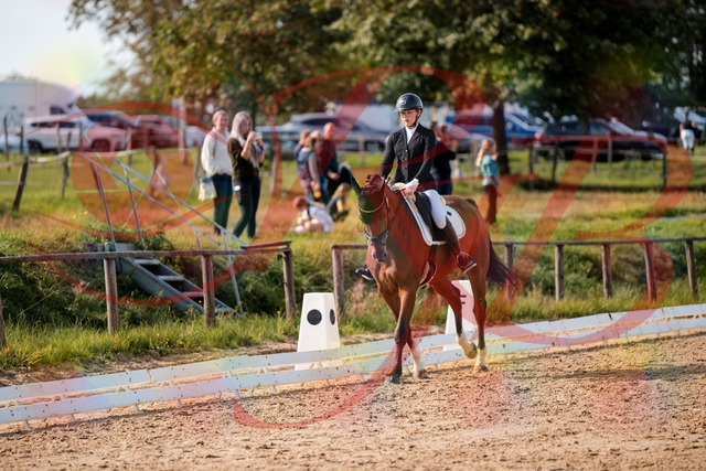 2026_10_03_Siefer-Hof_131712_Z63_78810137 | Professionelle Reitsport-, Turnier- und Eventfotografie von Robert Broda. Galerien mit ausgewählten und bearbeiteten Bildern direkt online ansehen und bestellen.