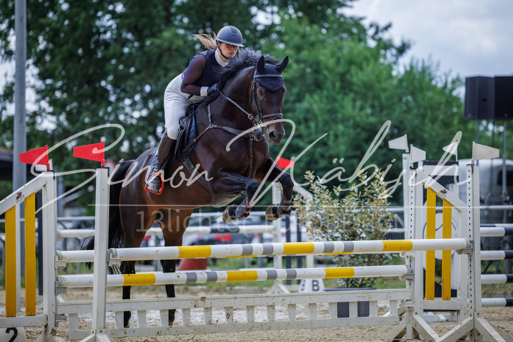 20260705-_3LI5836 | Tierfotografie Pferde, Hunde, Katzen, Haustiere.
Turnierfotografie Reitturniere, Reiten, Springreiten, Dressur in Hanau, dem Main-Kinzig-Kreis und dem Rhein-Main- Gebiet um Frankfurt