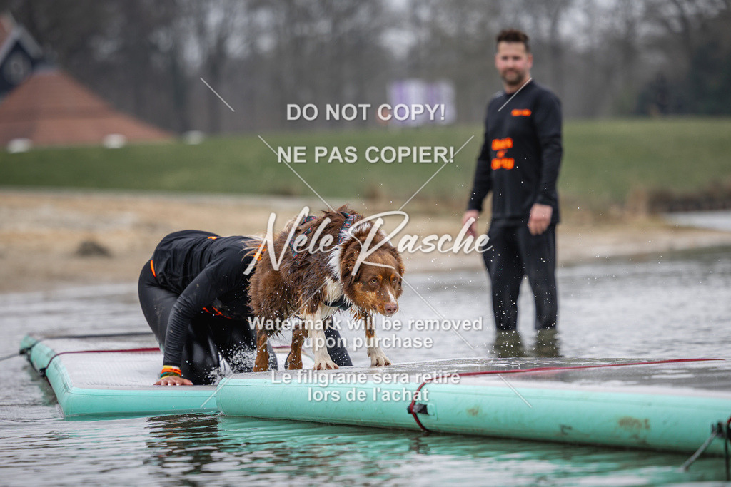 nelerasche_Hulsbeek_Sa1230-1330_583 | nelerasche