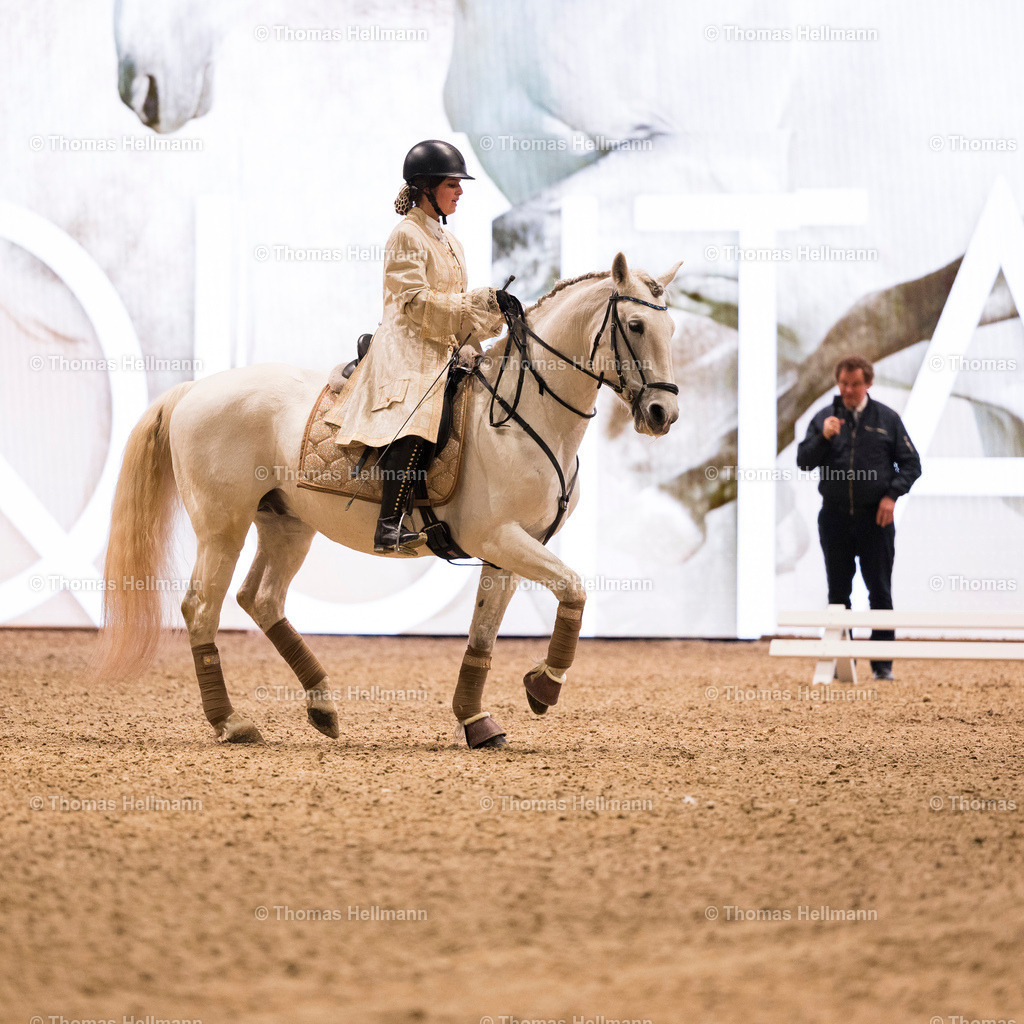TH_Richard Hinrichs_ Dressur Spezial_5951 | EQUITANA Essen 2023 am 19.01.22 in Essen, Thomas Hellmann, Richard Hinrichs, Dressur Spezial