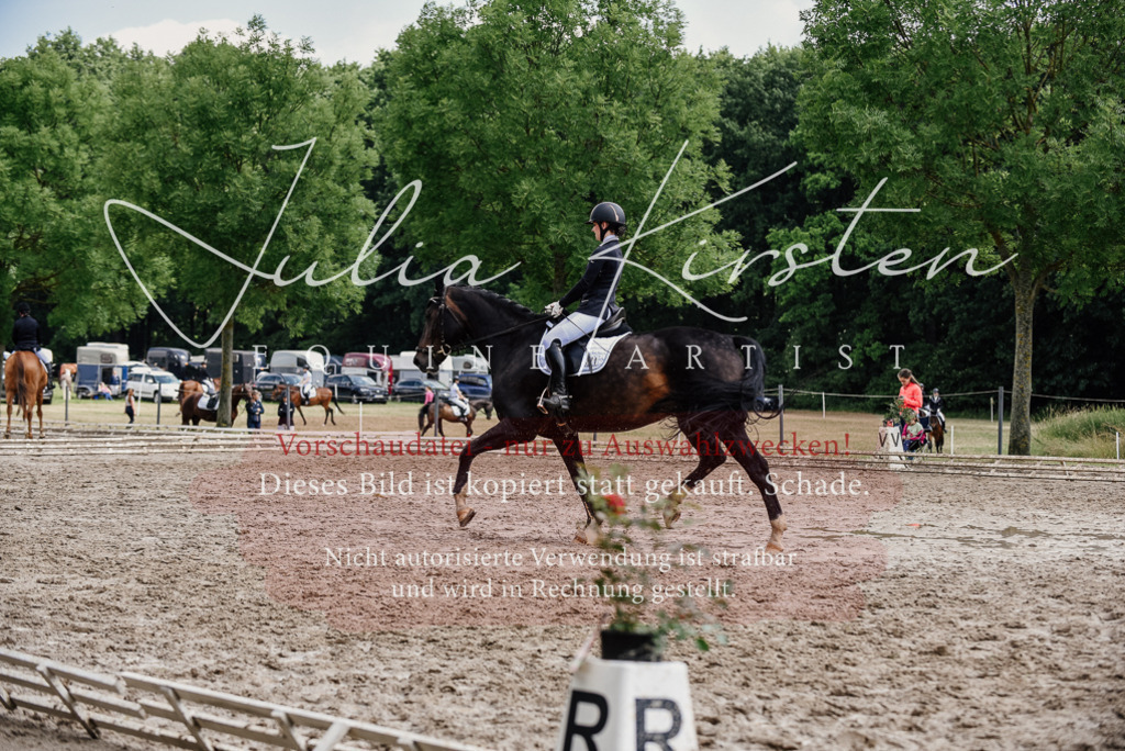 DSC_0600 | Pferde- und Turnierfotografie in Westsachsen. Pferdeportraits, Auftragszeichnungen und intuitive Kunst.