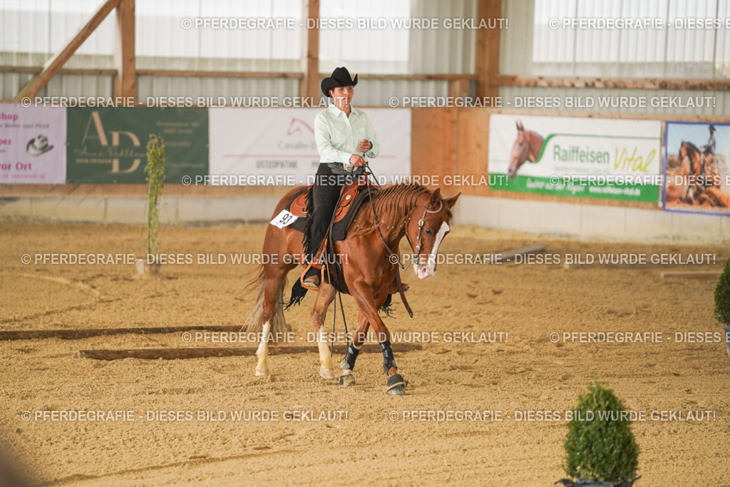 DSC03398 | Pferdegrafie