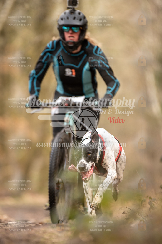 SPA_2023_SAM_Scooter-2 | PayLife