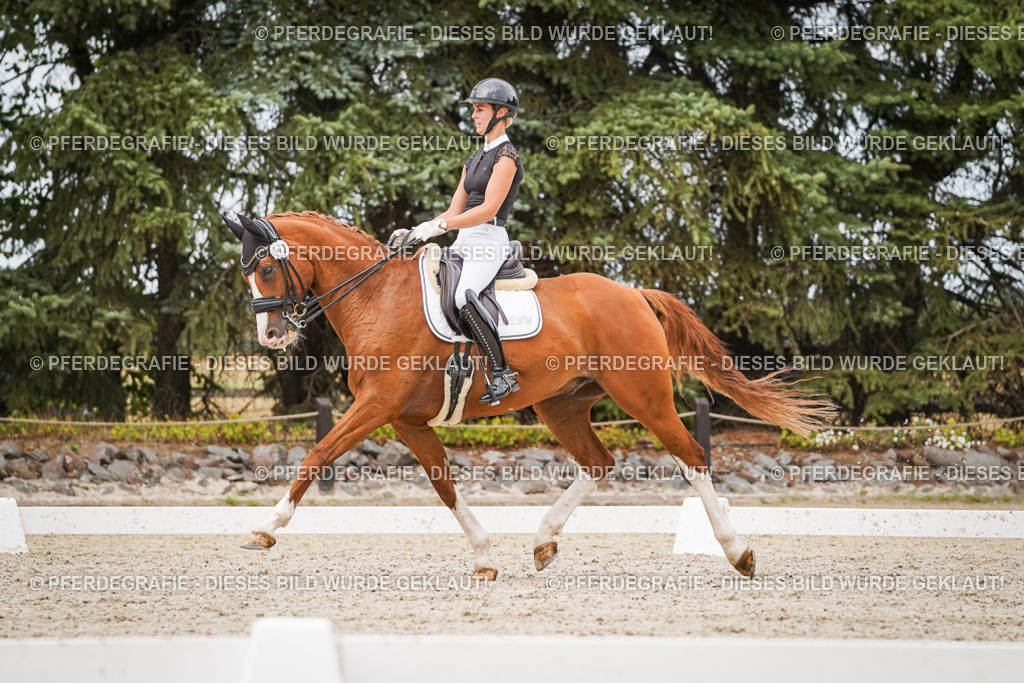 DSC07972 | Pferdegrafie