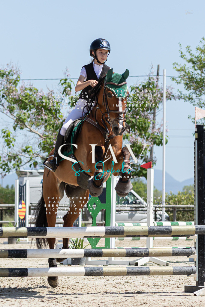 IMG_0516 | s-jay-photography - Realisiert mit Pictrs.com