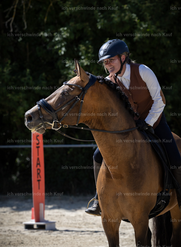 WE_Trail_23_KerstinBernhardt-27 | working equitationturnier fotograf videograf stoibphotography marixx film working equitation deutschland reitsport turnierfotografie eventfotografie equestrian events