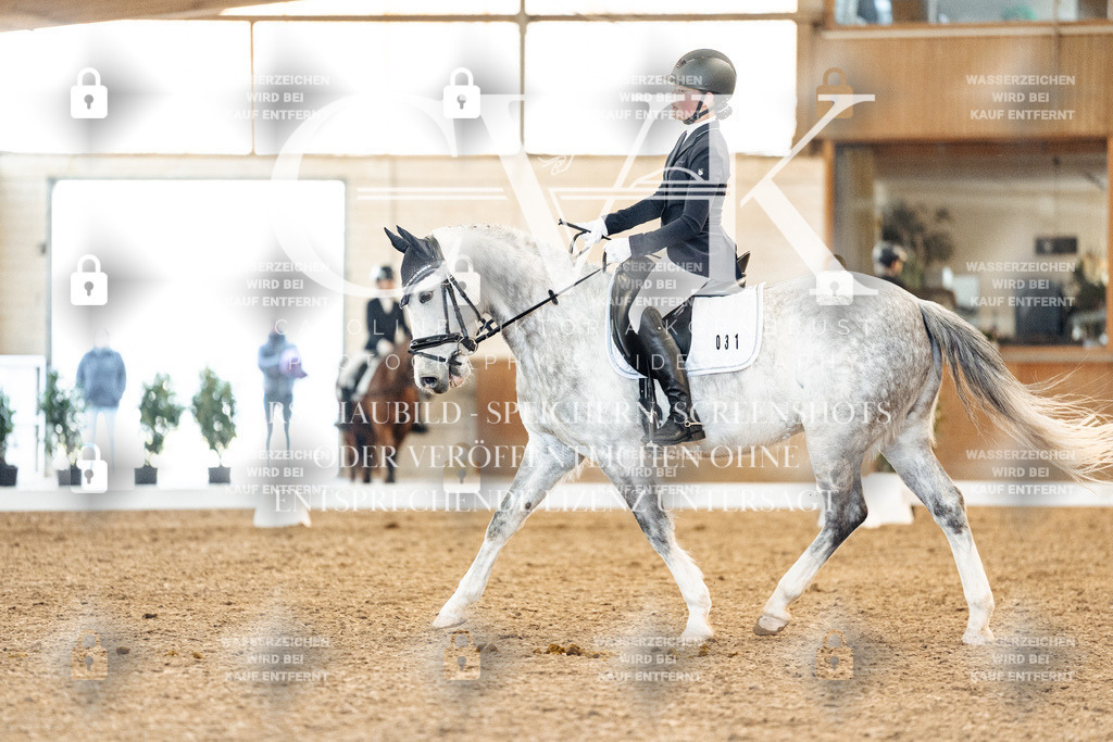 CK907801 | Turnierfotografie Pferdefotografie Trier Rheinland-Pfalz Pferdesport Reitsport Tierfotografie Sportfotografie Pferdevideo Pferdevideografie Equestrianvideography equestrianphotography  - Realisiert mit Pictrs.com