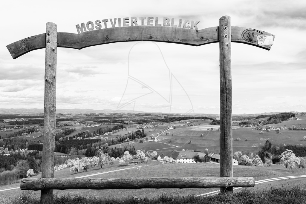 Mostviertel Schwarz Weiß | Ihre Fotografin im Lungau, ihre Fotografin im Mostviertel, Wandbilder Onlineshop, Imagefotos für Ihr Unternehmen,  - Realisiert mit Pictrs.com