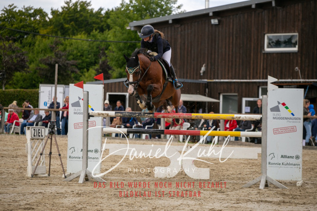IMG_5757 | Turniersportfotografie; Pferdefotografie; Dressurfotografie