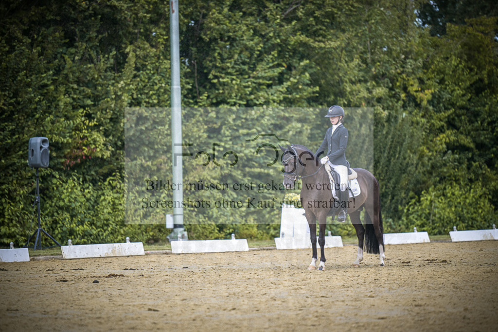 DOS_3761 | Entdecke hochwertige Reitturnierfotos von Foto Oger. Professionell, emotional und authentisch – jetzt Lieblingsmomente im Shop bestellen.Deutschlandweite Turnierfotografie. - Realisiert mit Pictrs.com