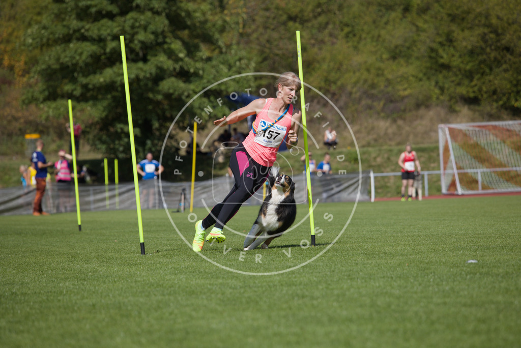 0L8A3205 | Hundefotografie, Tierfotograf, Pfotenfotografie, Fotoshooting Hund, Hunde Portrait, Hundesport, Hundeportraits, Heideshooting, Hunde, Sportfotograf, Hundefotograf, Turnierhundsport, THS,  - Realisiert mit Pictrs.com