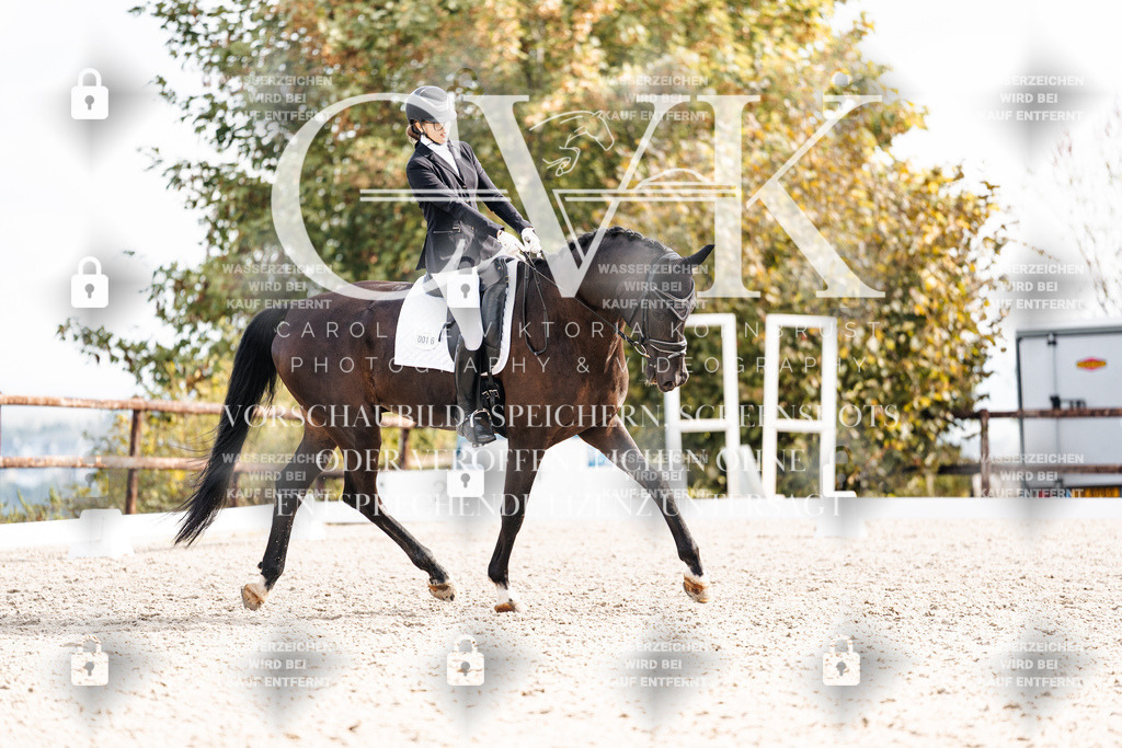 CK901727 | Turnierfotografie Pferdefotografie Trier Rheinland-Pfalz Pferdesport Reitsport Tierfotografie Sportfotografie Pferdevideo Pferdevideografie Equestrianvideography equestrianphotography  - Realisiert mit Pictrs.com