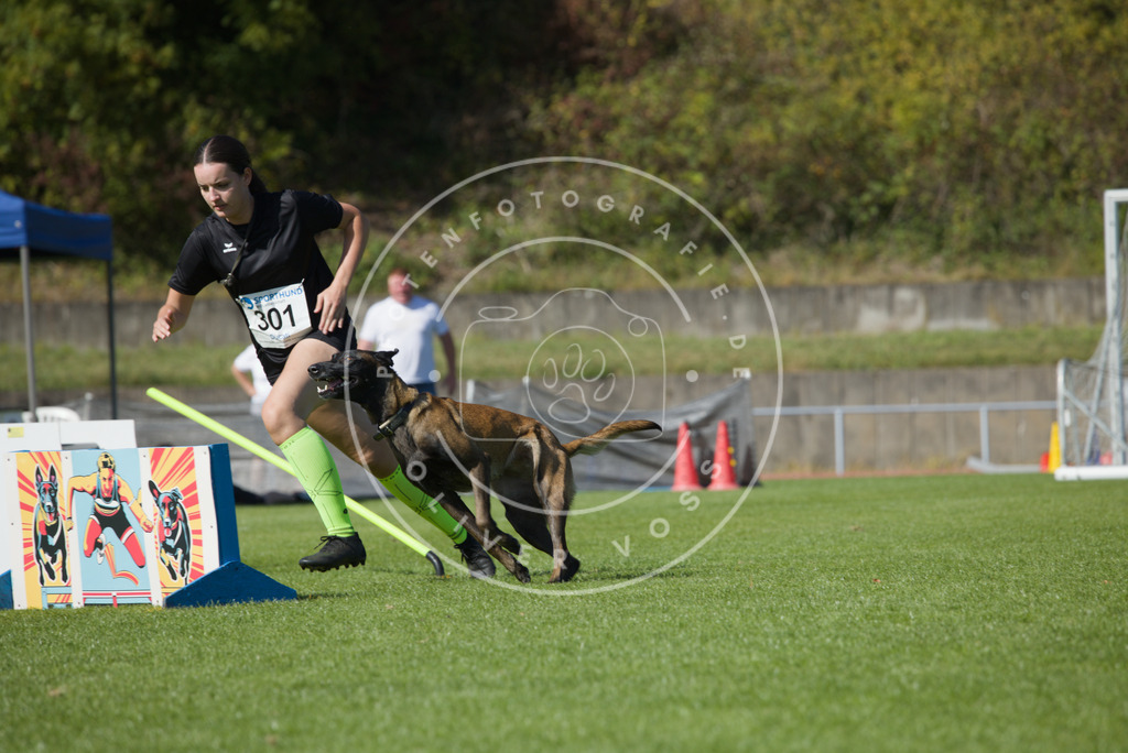 0L8A7743 | Hundefotografie, Tierfotograf, Pfotenfotografie, Fotoshooting Hund, Hunde Portrait, Hundesport, Hundeportraits, Heideshooting, Hunde, Sportfotograf, Hundefotograf, Turnierhundsport, THS,  - Realisiert mit Pictrs.com