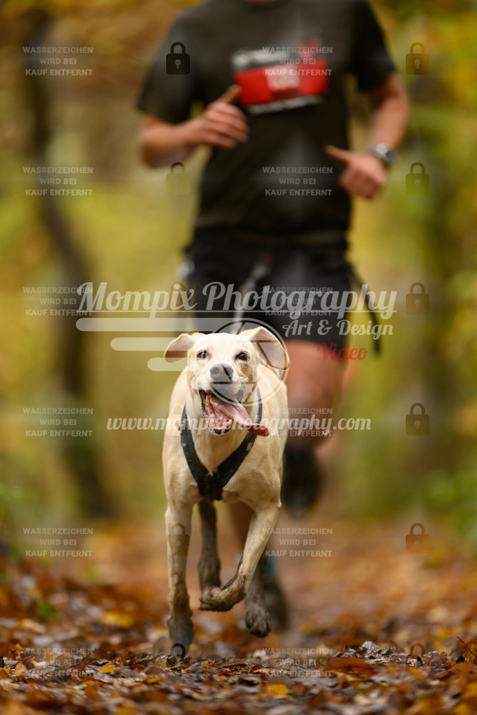 MompixPhotography_CD7S_DI_CCL-72 | mompixphotography