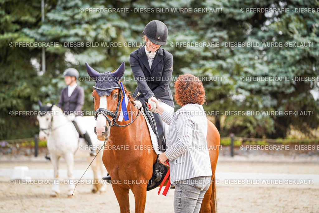 DSC02338 | Pferdegrafie