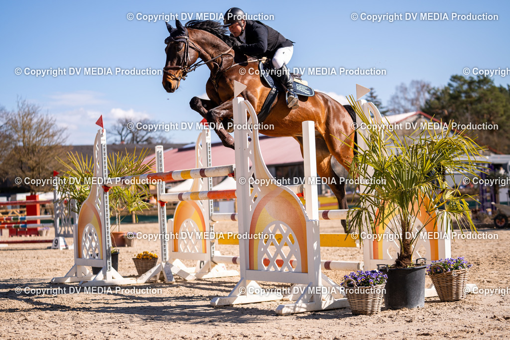 Kranichstein Tag 2-717 | dv-media-shop - Realisiert mit Pictrs.com