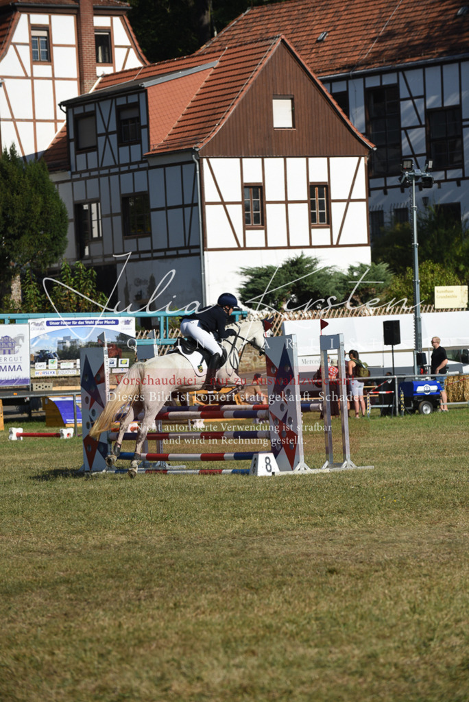 DSC_5323 | Pferde- und Turnierfotografie in Westsachsen. Pferdeportraits, Auftragszeichnungen und intuitive Kunst.