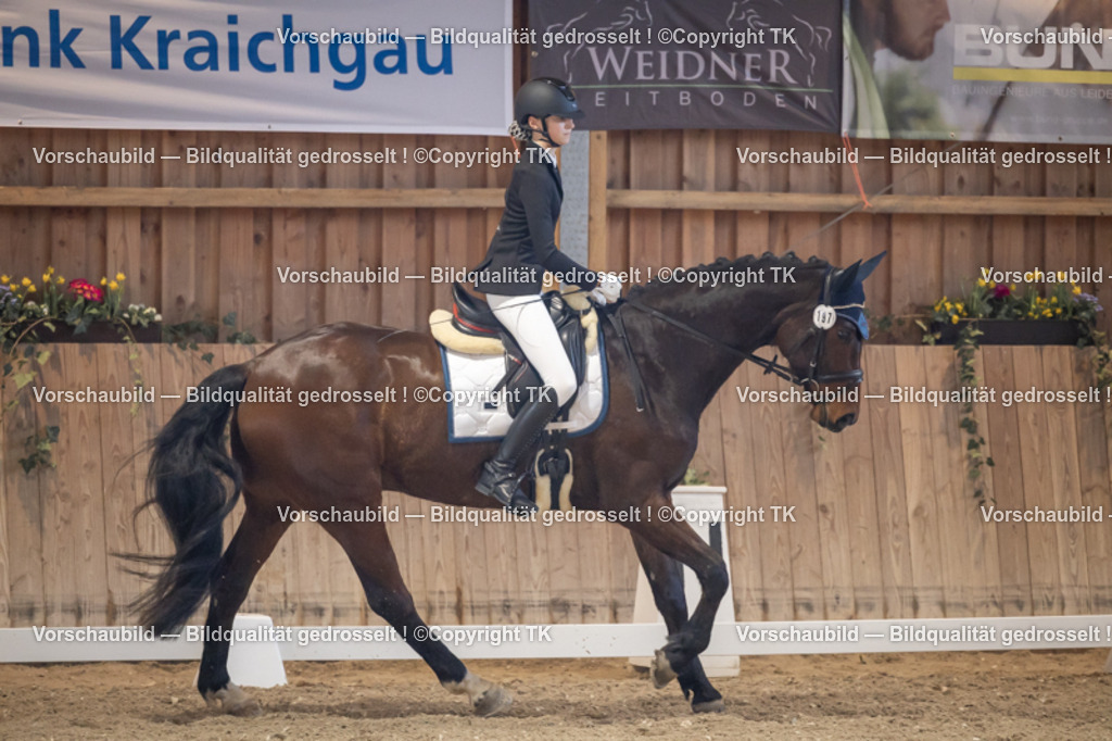 _D5A2234 | Emotionale Pferde- & People-Fotografie rund um Heidelberg, Leimen & Umgebung. Natürliche Fotos von Pferd, Mensch & Familie. Jetzt Termin sichern!