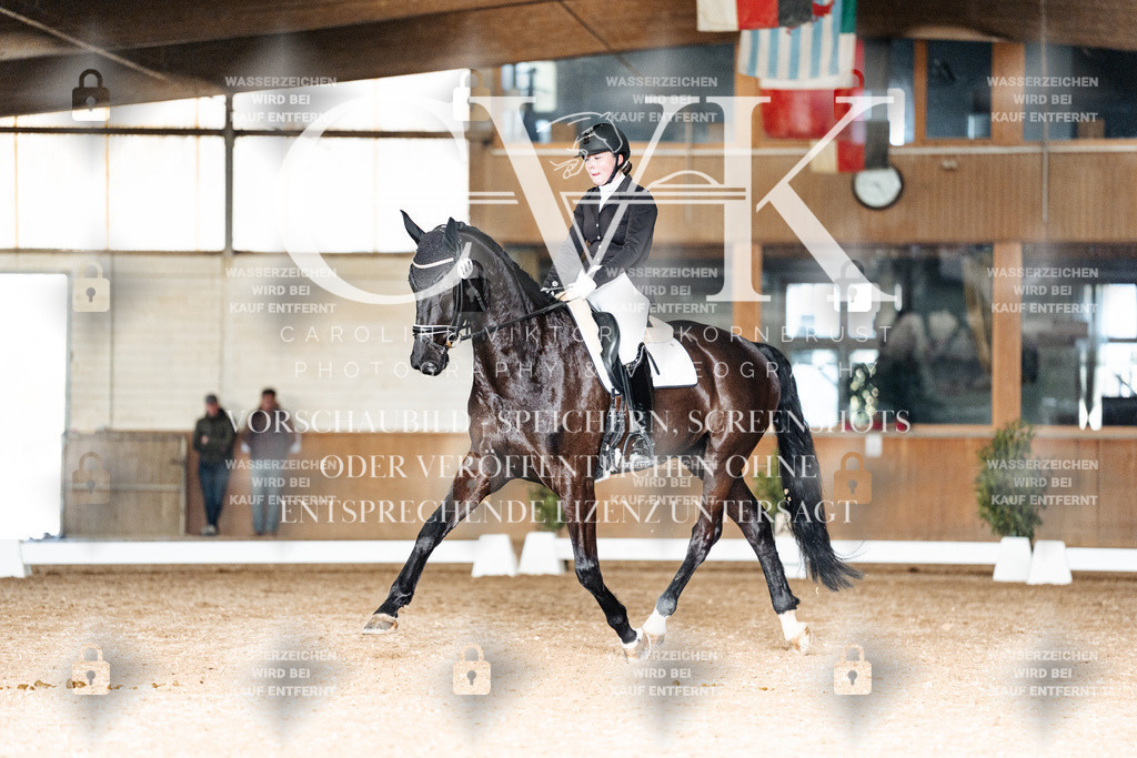 CK902856 | Turnierfotografie Pferdefotografie Trier Rheinland-Pfalz Pferdesport Reitsport Tierfotografie Sportfotografie Pferdevideo Pferdevideografie Equestrianvideography equestrianphotography  - Realisiert mit Pictrs.com