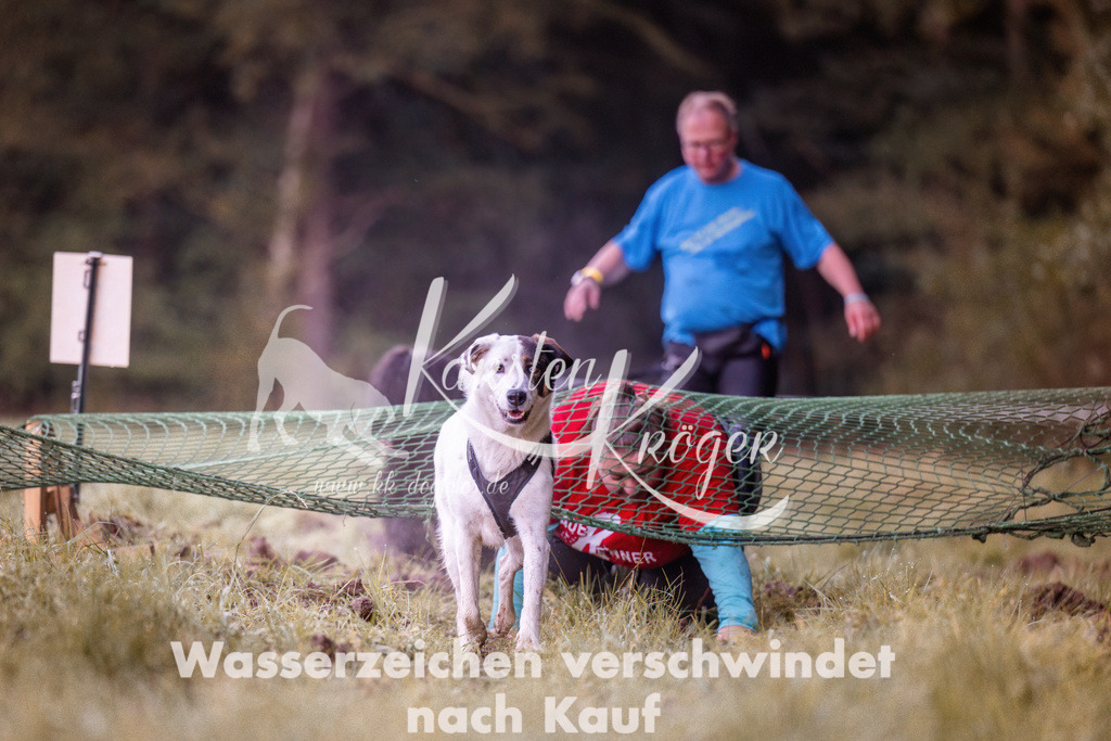 0815_ZZ90030 | kk-dogfotos